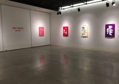 Installation view of Emily Hake's Master of Fine Arts Exhibition at the Art Lofts Gallery, University of Wisconsin-Madison