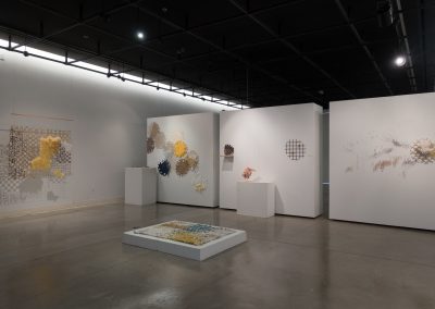 Installation view of Hannah Bennett's Master of Fine Arts exhibition at the Art Lofts Gallery, University of Wisconsin-Madison
