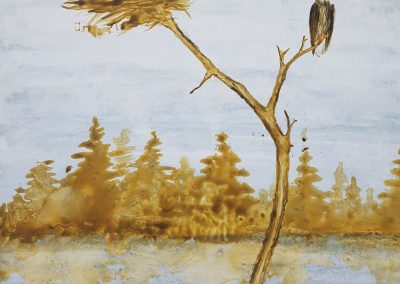 Robin Peeters - Eagles, clayboard painting