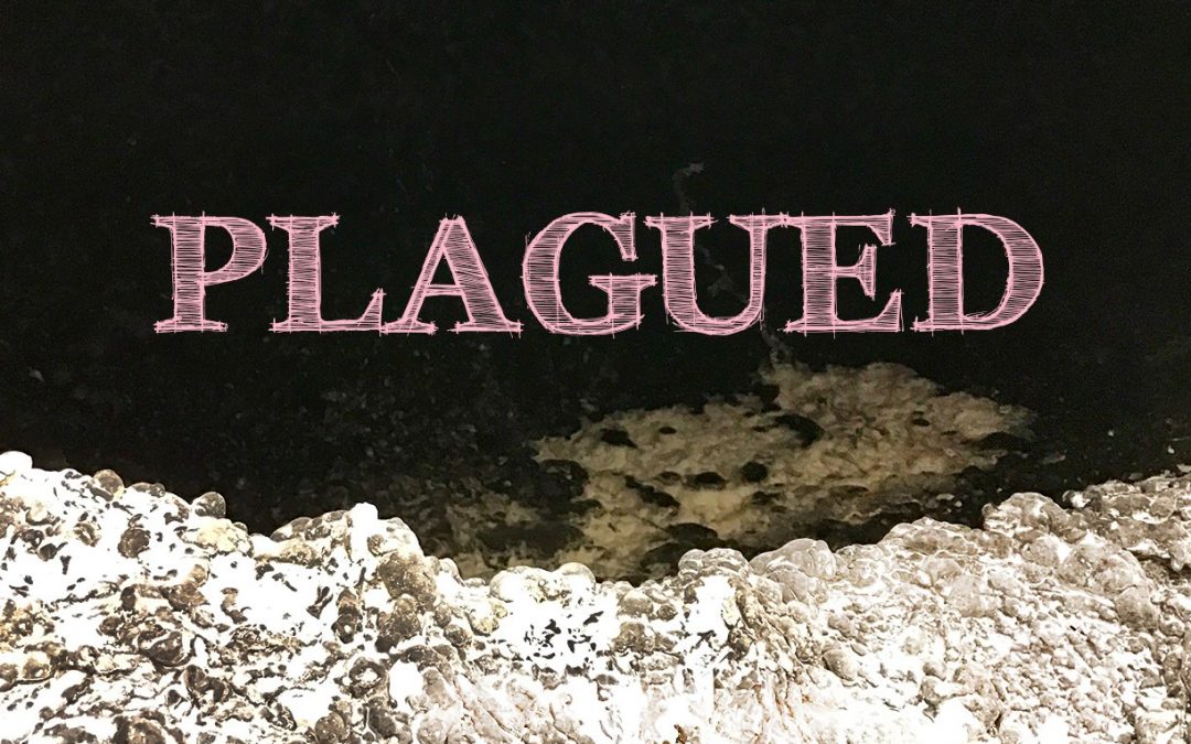 Plagued – MFA Exhibition by Chase Boston