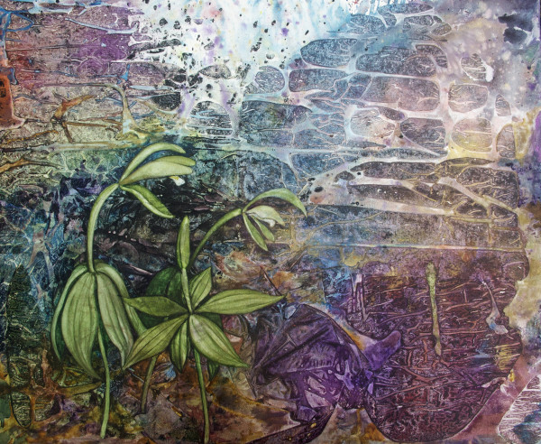 Drawing on Nature and Circumstance: Two Water-Media Exhibits by Helen Klebesadel MFA ’89