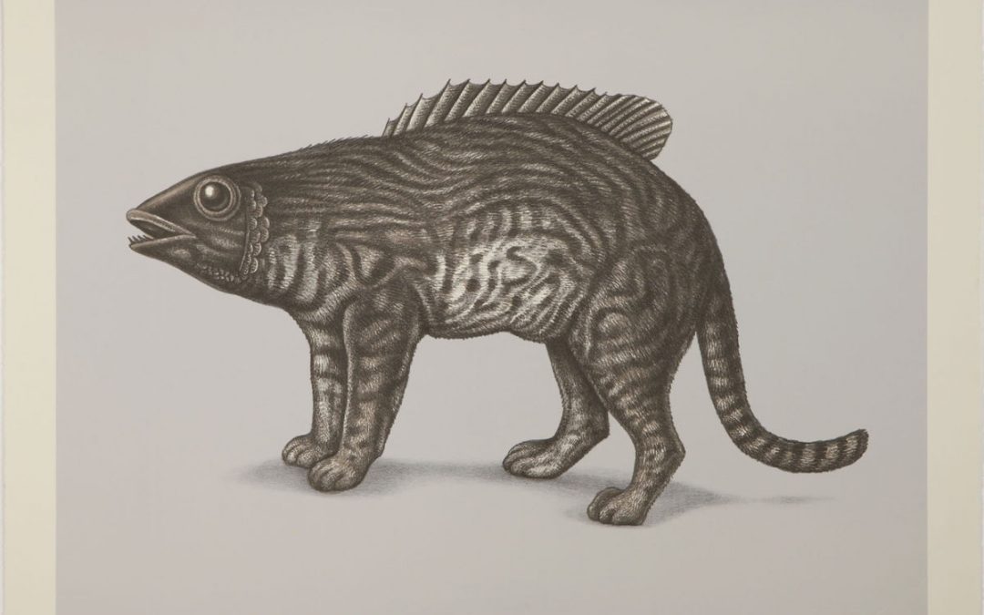 "Micropterus Trichopilaris," by Beauvais Lyons (BFA '80) from "The Association for Creative Zoology" collection.
