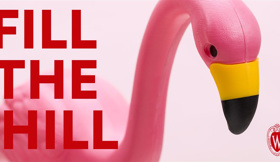 The UW’s famed pink flamingos are set to roost on Bascom Hill again — but they’ll only be here for one day. Fill the Hill on October 20.