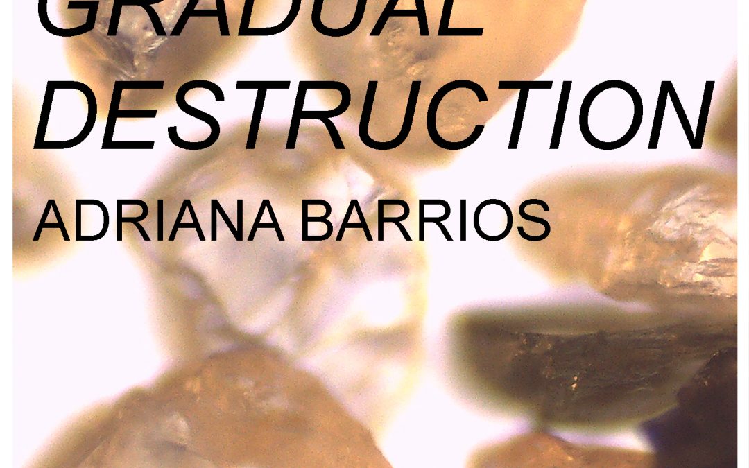 Gradual Destruction: MA Exhibition by Adriana Barrios January 22 - 27