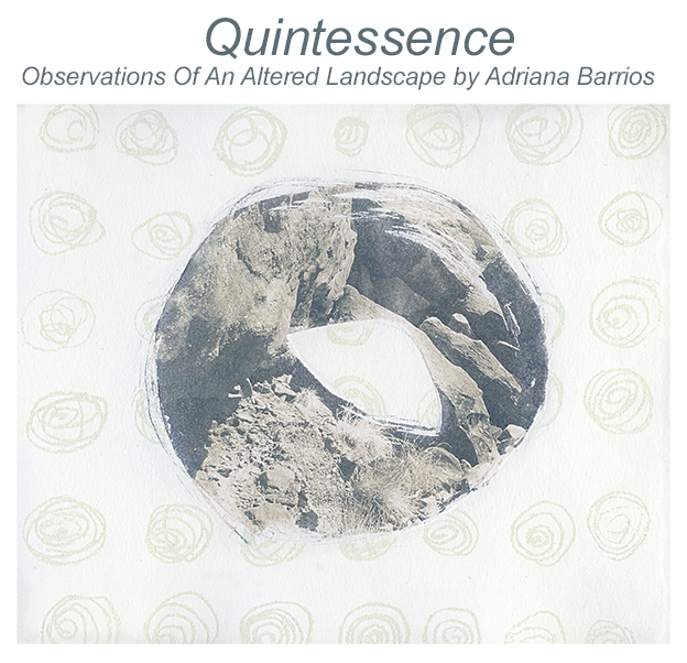 Quintessence: Observations Of An Altered Landscape by Adriana Barrios