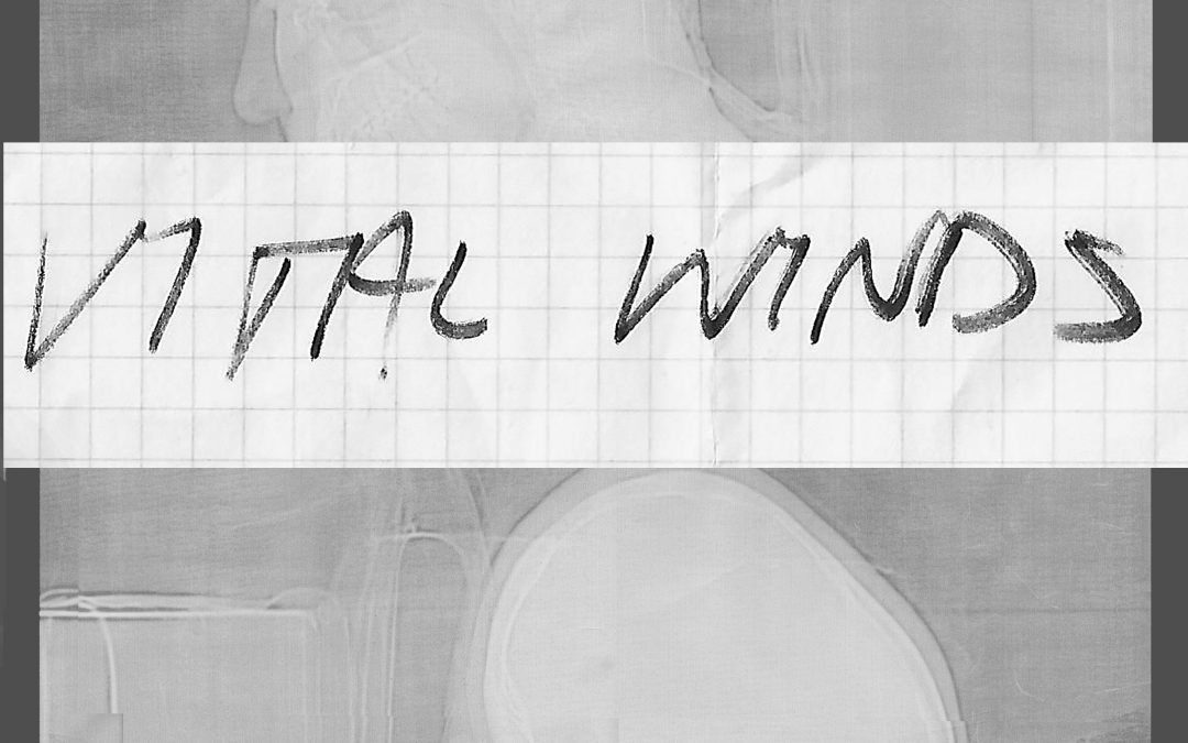 Poster for Vital Winds MFA exhibit by Alex James Donnelly