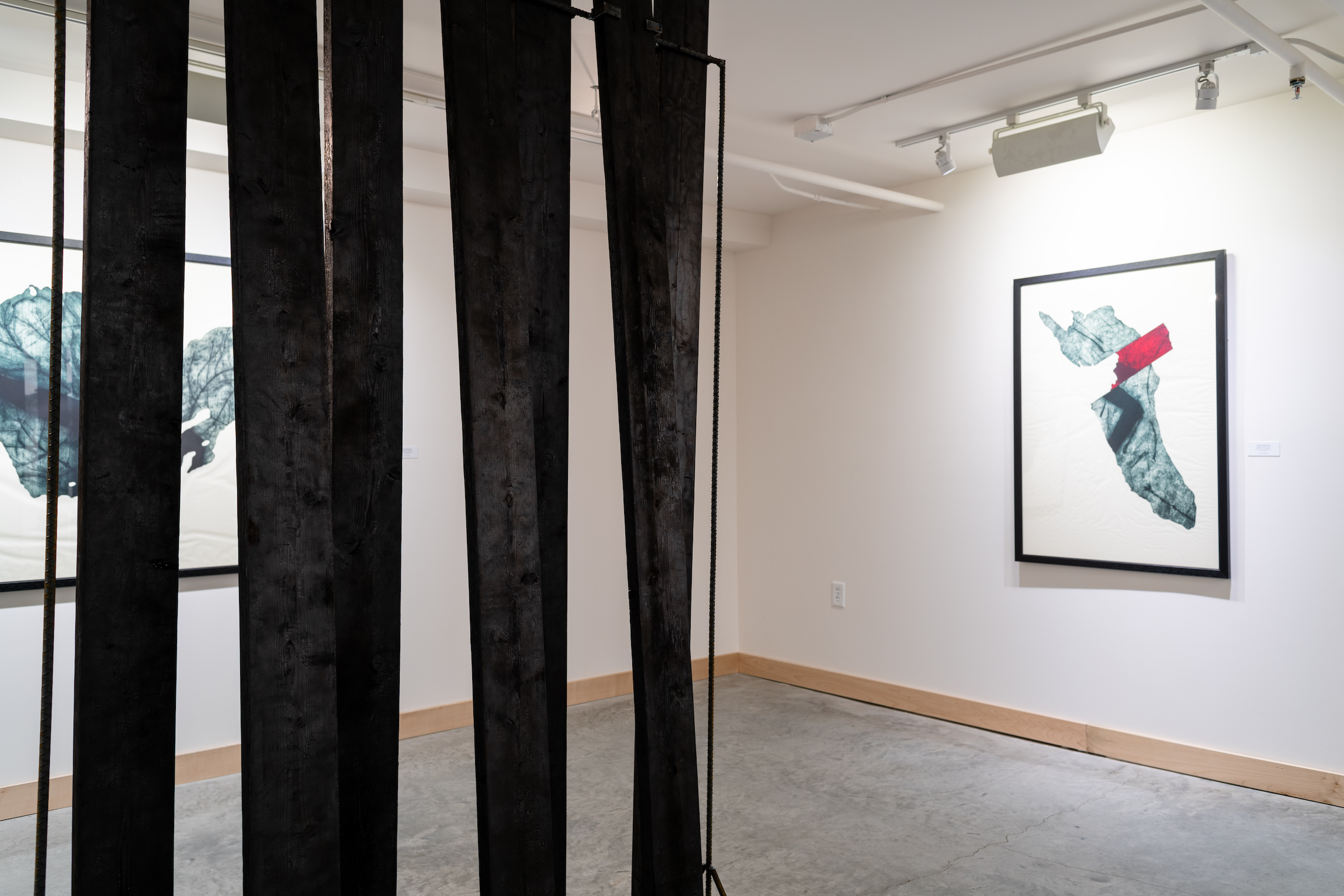 Installation view of Carissa Kalia Heinrichs' Master of Fine Arts exhibition As the Crow Flies at the Apex Gallery of Tandem Press, University of Wisconsin-Madison. Photography by Kyle Herrera.
