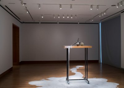 “Labware,” 2018-2019, Pewter, copper, magnifying lens, silicone. Metalsmithing installation art from Chloe Darke's Master of Fine Arts exhibition Secrete, Augment, Testify at the Chazen Museum of Art, University of Wisconsin-Madison. Photography by Kyle Herrera.