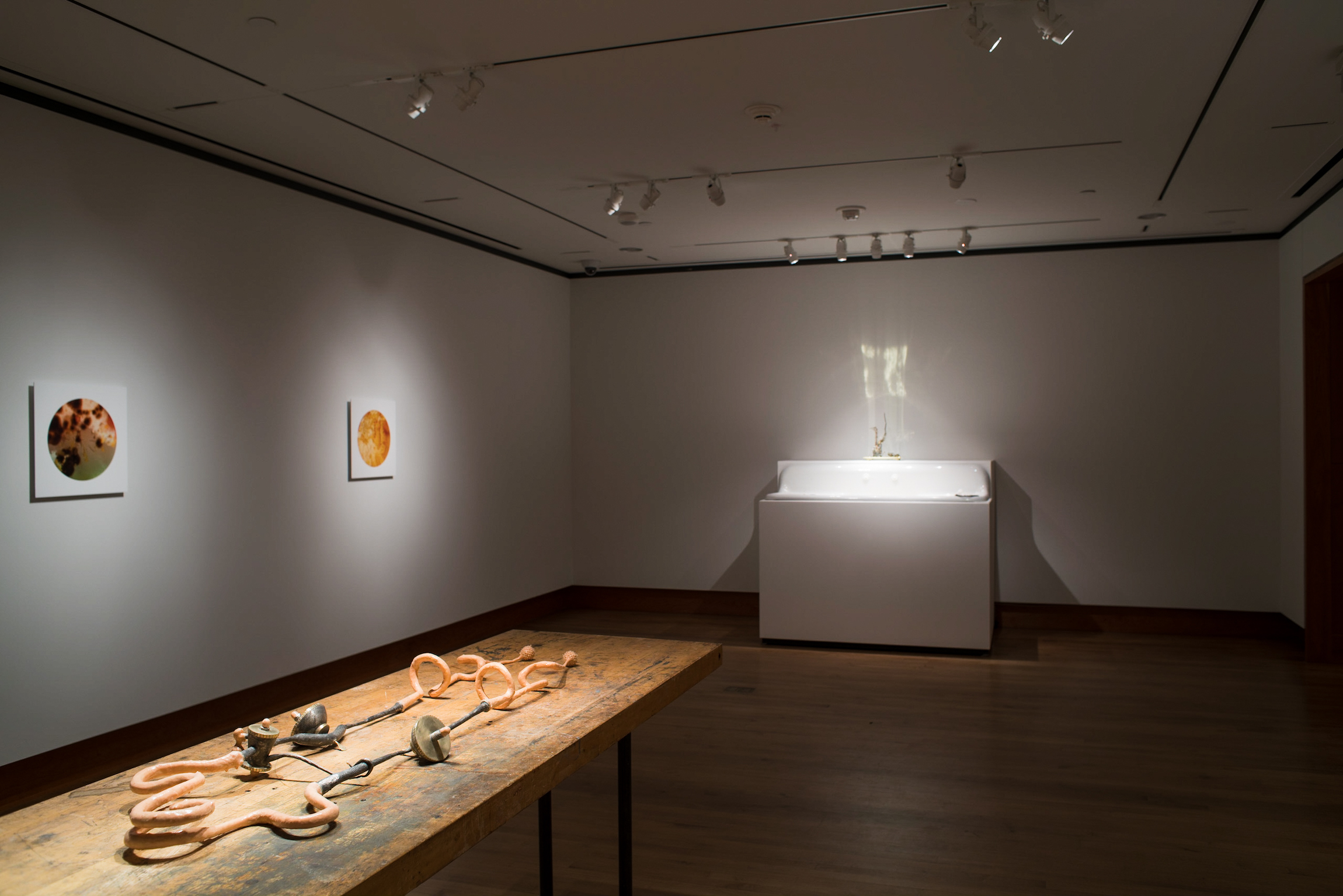 Installation view of Chloe Darke's Master of Fine Arts exhibition Secrete, Augment, Testify at the Chazen Museum of Art, University of Wisconsin-Madison. Photography by Kyle Herrera.