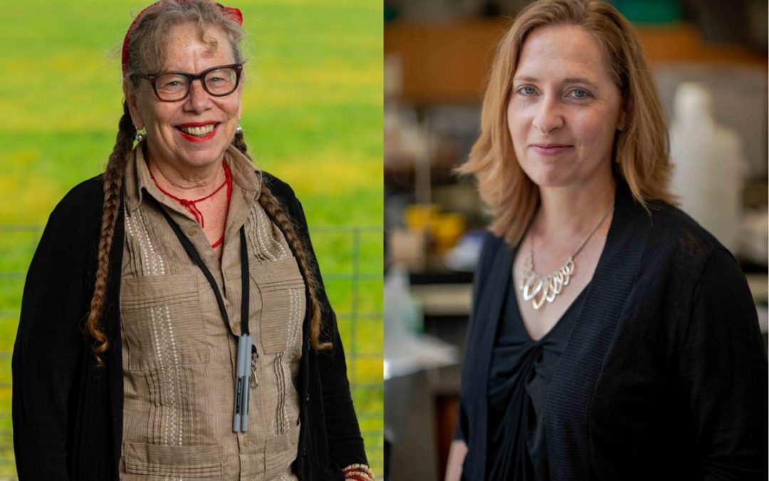 (from left) UW-Madison professors Lynda Barry and Andrea Dutton were named 2019 MacArthur fellows.