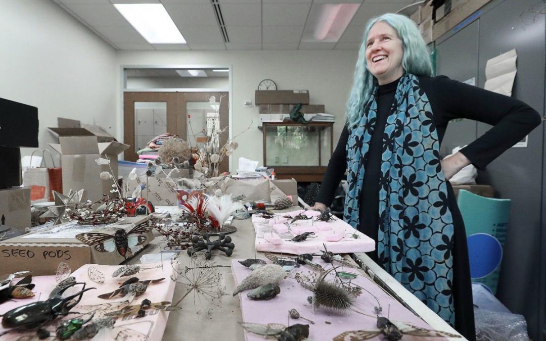 Artist Jennifer Angus displays some of the insects she works with in her studio at UW-Madison. Angus and artist Dakota Mace have been awarded the first Forward Art Prizes.