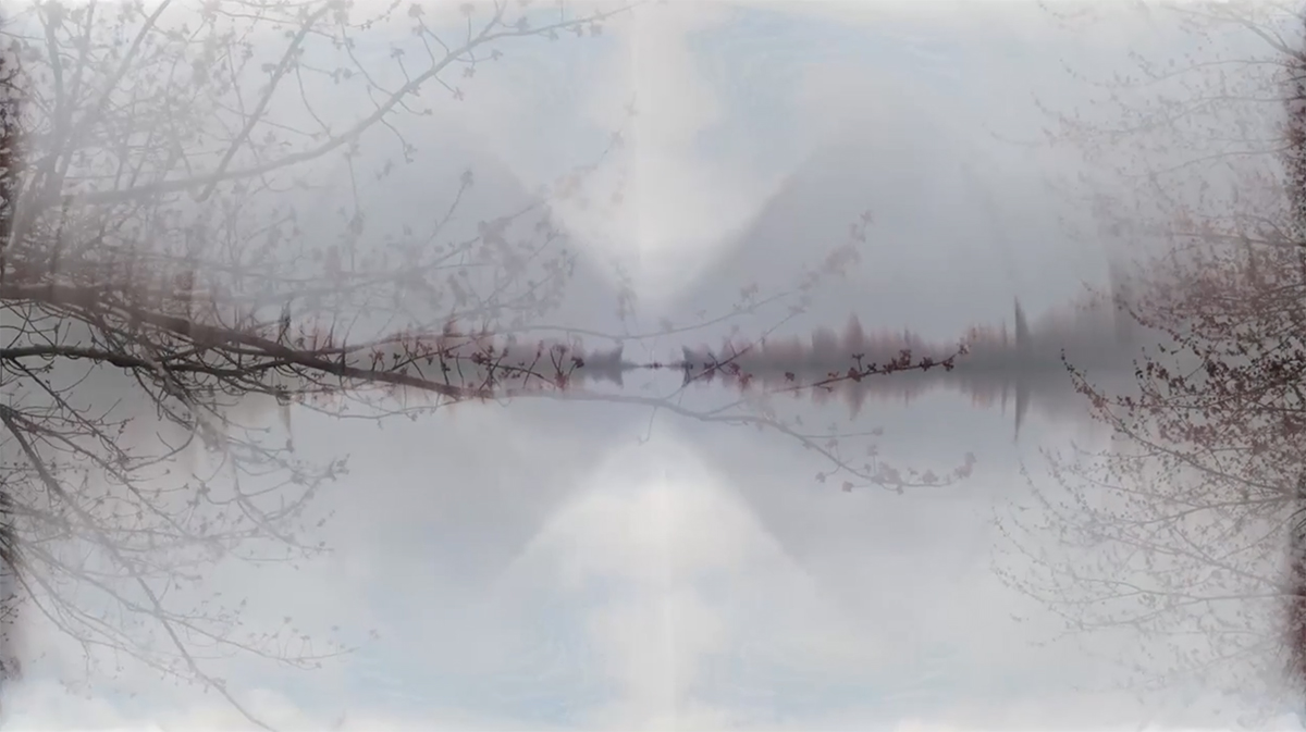 Video still from Clouds/trees by Kyle Herrera.