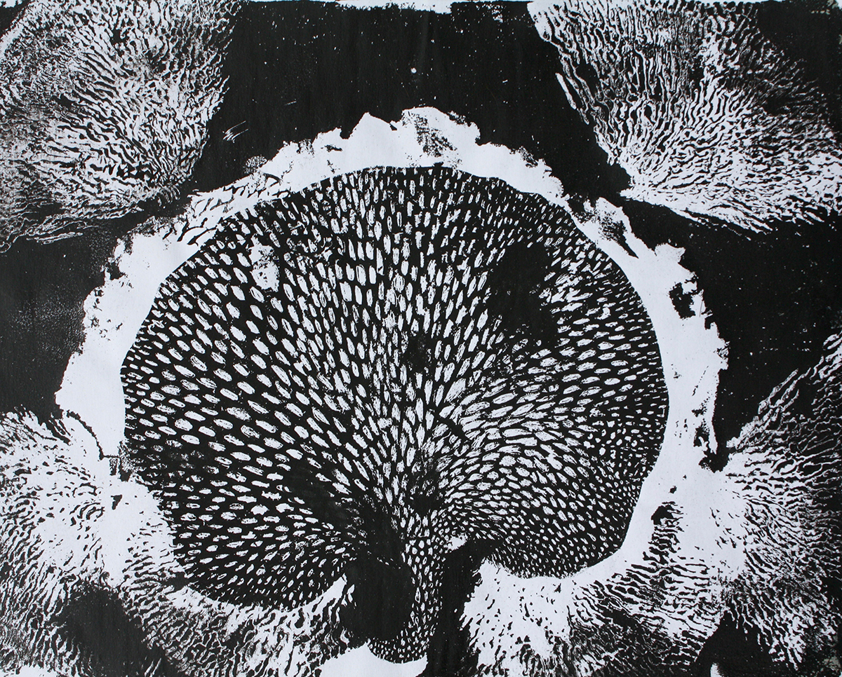 The Second Life of Trees, monotype print by Olivia Wieland.