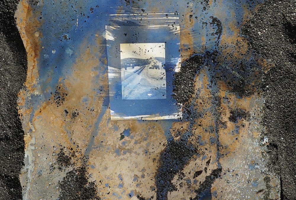 A cyanotype in its second phase of exposure by Tomiko Jones.