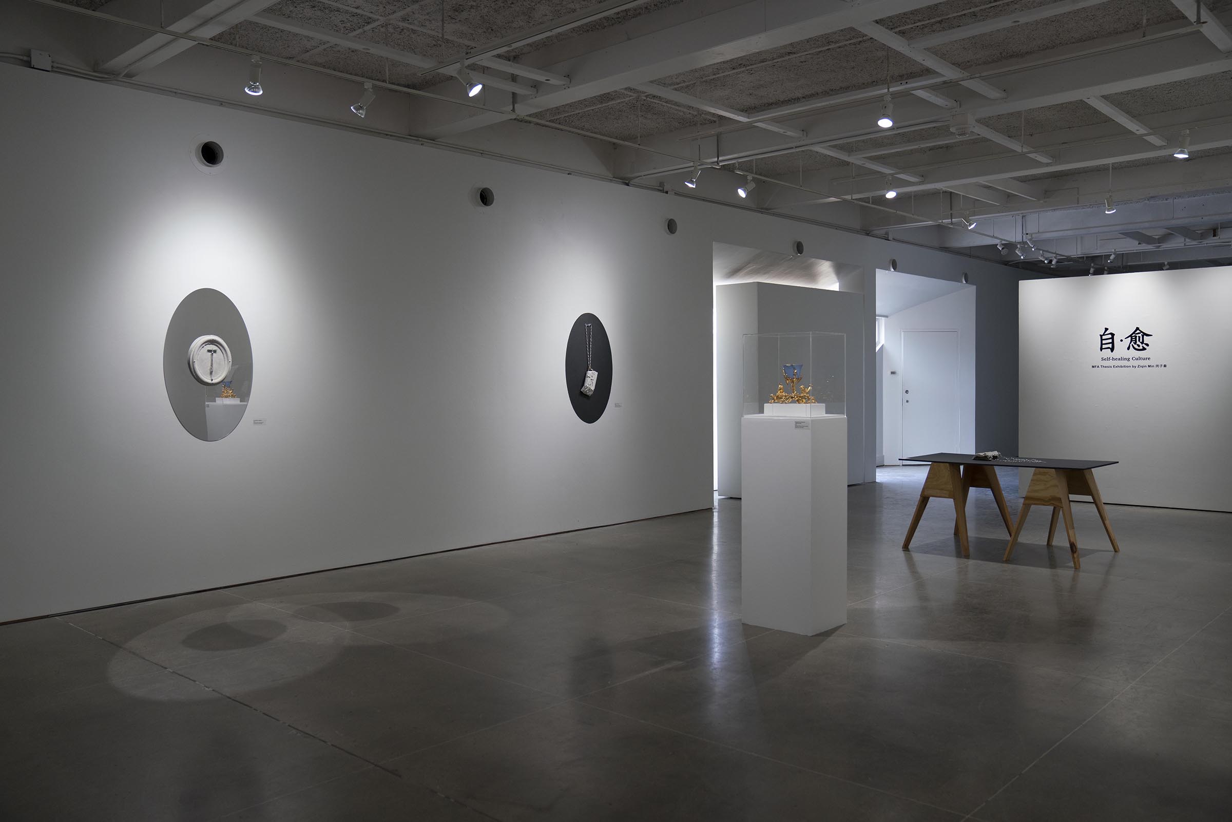 Installation view of 自 𐩑 愈 Self-healing Culture Master of Fine Arts Exhibition by Ziqin (Marsh) Min at Gallery 7, Humanities Building, University of Wisconsin-Madison.
