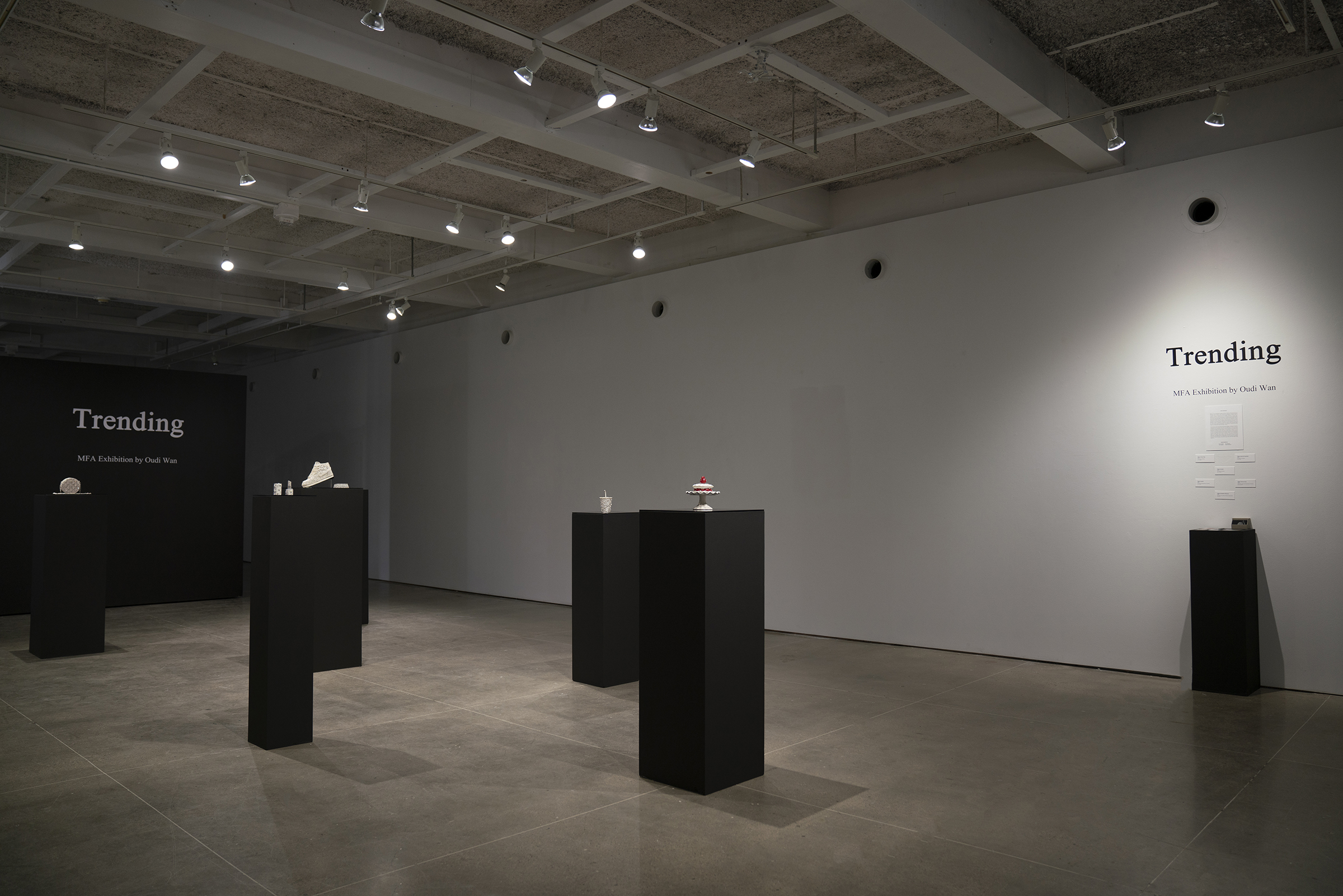 Installation view of Trending Master of Fine Arts Exhibition by Oudi Wan at Gallery 7, Humanities Building, University of Wisconsin-Madison.