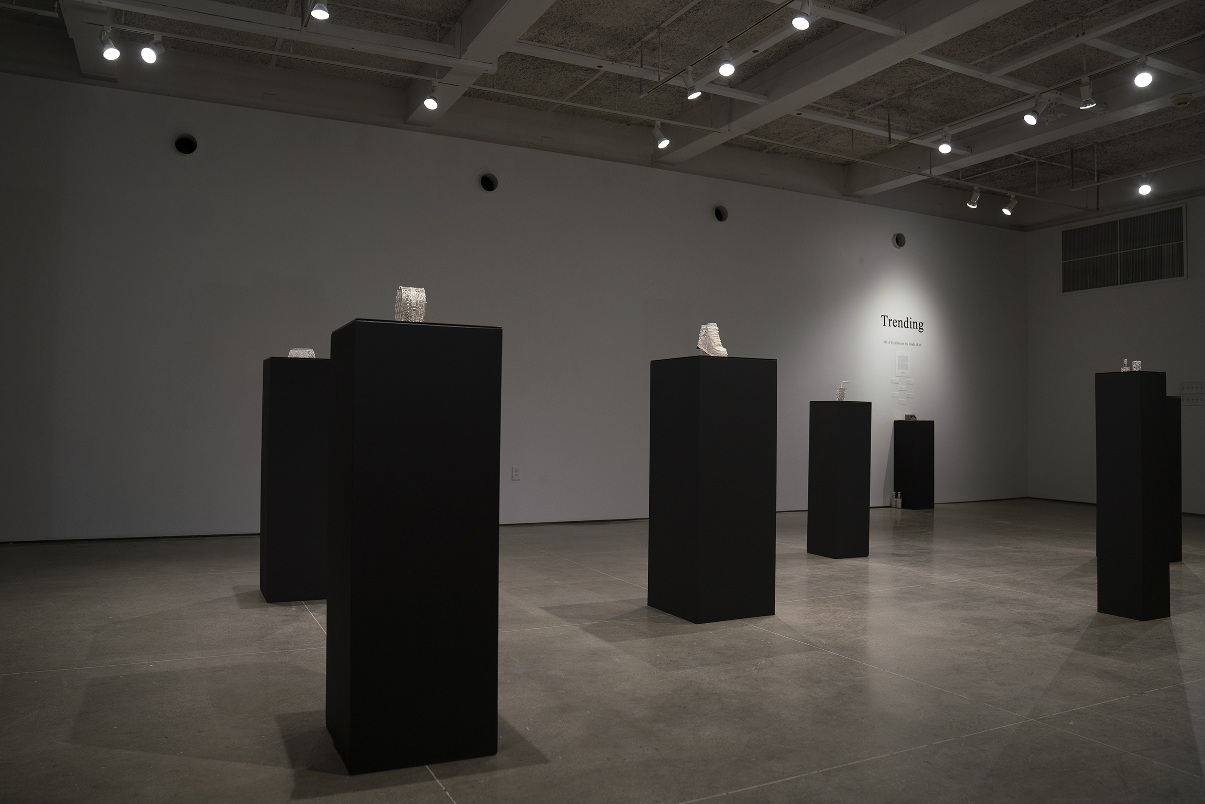 Installation view of Trending Master of Fine Arts Exhibition by Oudi Wan at Gallery 7, Humanities Building, University of Wisconsin-Madison.