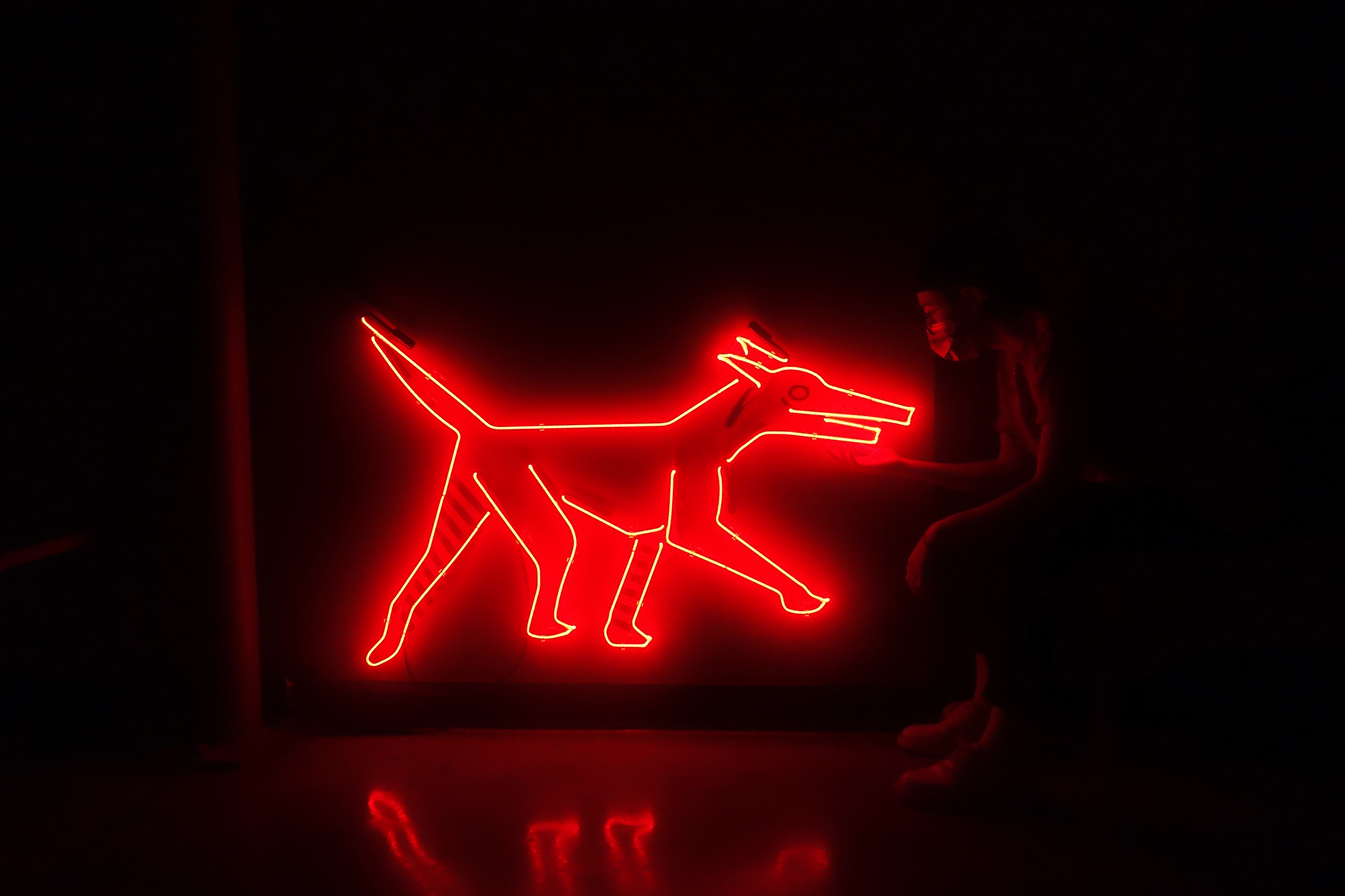 A Girl and Her Neon Dog, neon, transformer, electrical tape by Paulina Eguino.