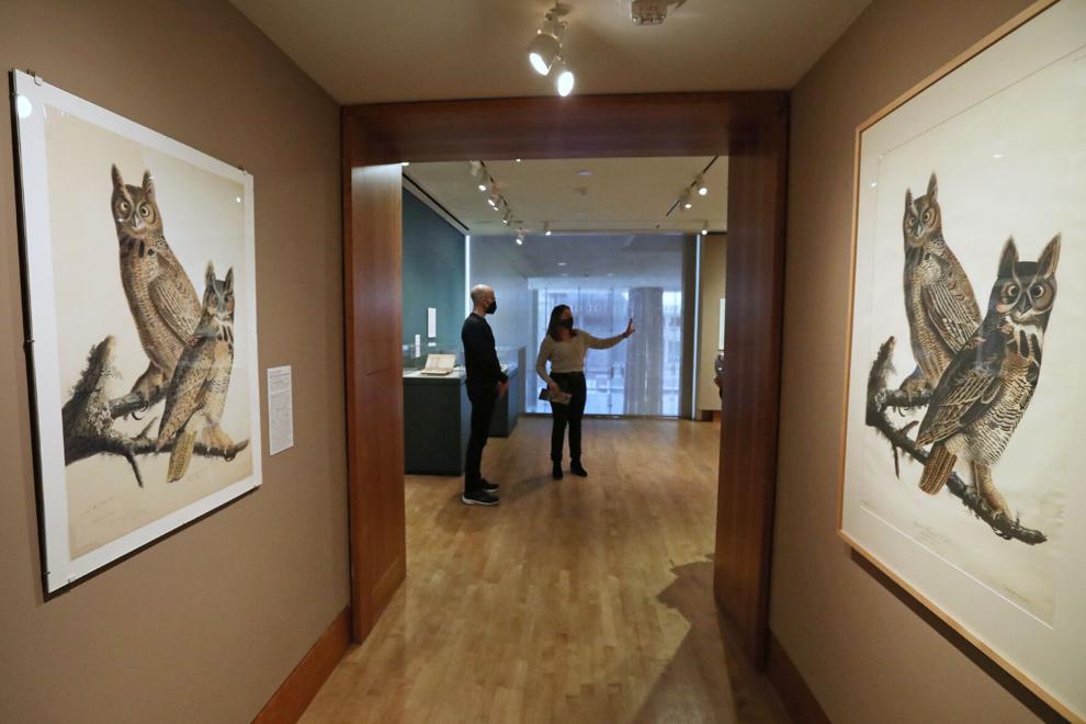 UW-Madison associate art professor Emily Arthur, right, and James Wehn, of the Chazen Museum of Art, view the exhibition "Seeing Audubon: Robert Havell, Jr. and the Birds of America" at the Chazen. It is among many print shows being held across Madison this month to coincide with an international printmaking conference hosted by UW-Madison.