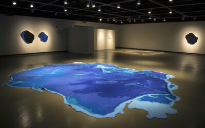 Art Faculty Colloquium: Professor Sarah FitzSimons