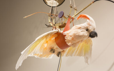 Visiting Artist Colloquium: Martha Glowacki