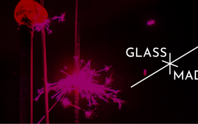 Glass Madison Public Programs 2023-2024