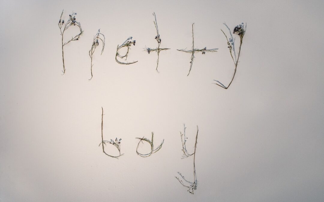 “Pretty Boy,” by Swan Ferraro