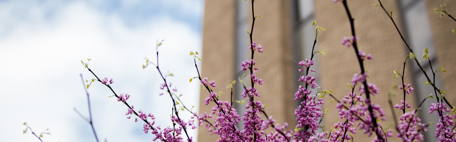 Uw Madison School Of Education Educational Psychology Department