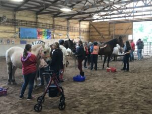 Participants and volunteers gathered around therapy horses at Beaming Inc. horse camp