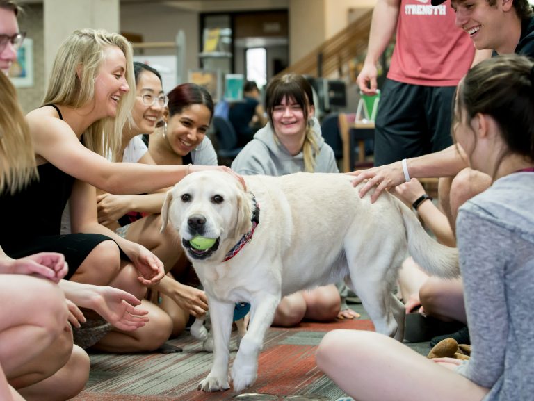 students playing with a dog during finals week