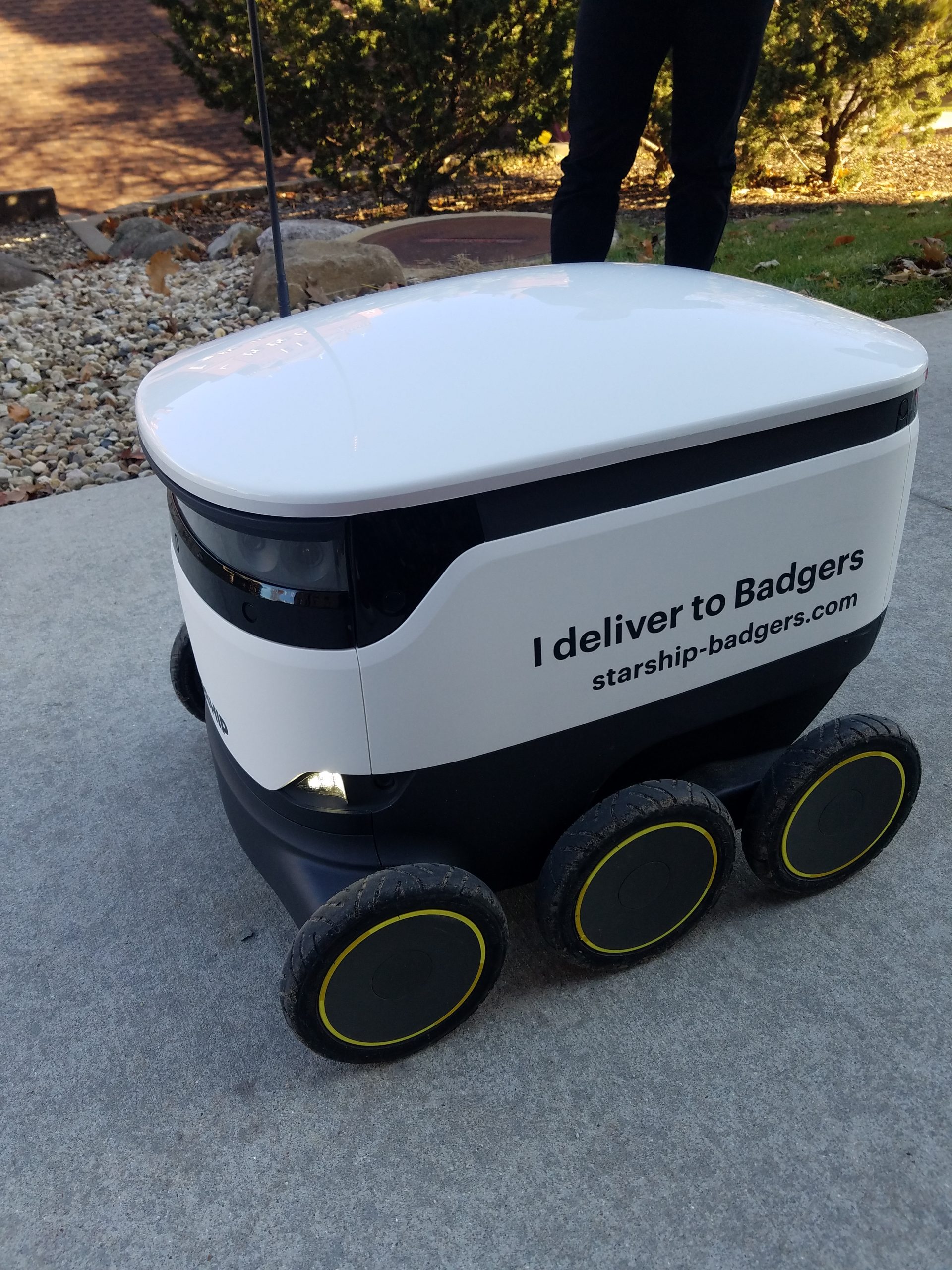 Food service delivery robot